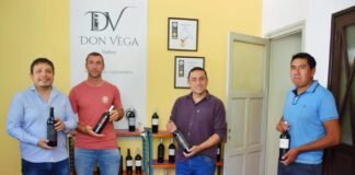 DÍA DEL VINO COMO BEBIDA NACIONAL BODEGA DON VEGA DE TINOGASTA: MEDALLA DE ORO POR SIETE VINOS PREMIADOS