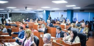 La situación de Guaraz dividió al bloque oficialista y hubo polémica votación