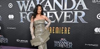 Rihanna regresa a la música “por Chadwick Boseman”