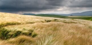 ¿Cómo estará el tiempo hoy?