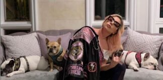 21 años de prisión para el hombre que disparó al paseador de perros de Lady Gaga