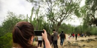 Nutrida agenda de actividades turísticas en la Capital por el fin de semana XXL