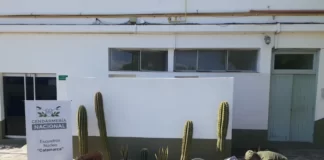 Gendarmería decomisó mercadería de contrabando