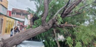 Demandará algunos días reparar los daños ocasionados por el temporal