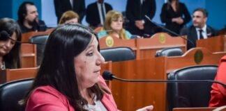 Guerrero calificó como violencia política que no dejen asumir a Ferreyra