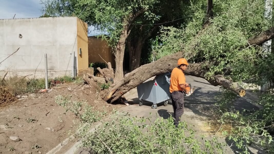 Las ráfagas que se abatieron en Capital e interior causaron múltiples inconvenientes