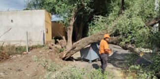 Las ráfagas que se abatieron en Capital e interior causaron múltiples inconvenientes