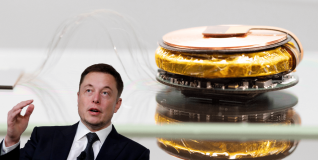 Musk quiere ponernos chips en el cerebro y dice que con Neuralink podrá hacerlo en 6 meses