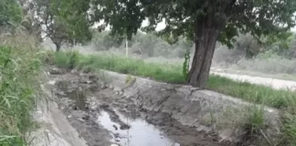 Preocupación de los productores por la falta de agua de riego en la época