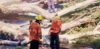 Siguen los trabajos por el desastre y alertan temporal