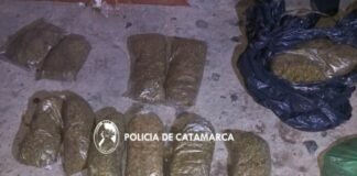 Transportaban 11 kilos de marihuana en bolsas de consorcio