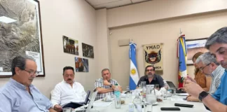 YMAD cobrará más de U$S 50 millones por su aporte a la explotación de Agua Rica
