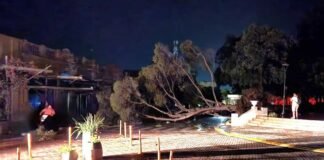 El temporal ocasionó destrozos y cortes de energia en el Valle Central Temporal en Catamarca