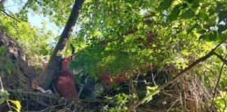 Cinco heridos tras la caída de un automóvil en un barranco