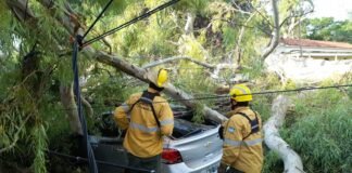 BRIGADISTAS DE INCENDIOS FORESTAL TRABAJAN CONJUNTAMENTE EN DOMICILIOS CON GRAVES DAÑOS