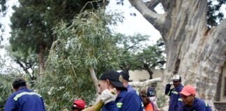 Catamarca Capital trabaja con todo su personal en operativo de despeje de Calles