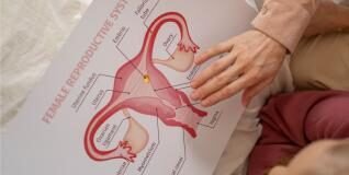 Científicos crean unos implantes biónicos de pene que podrían ayudar a tratar la disfunción eréctil