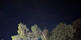 Fuerte temporal en la Capital dejó grandes destrozos