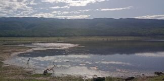 Medio Ambiente relevó el Dique La Cañada, luego de la aparición de peces muertos