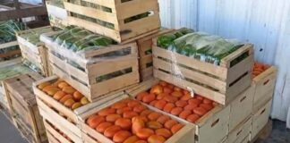 El Mercado de Abasto no tiene referencias de precios