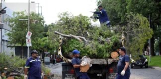 Operativo de asistencia con personal de todas las áreas