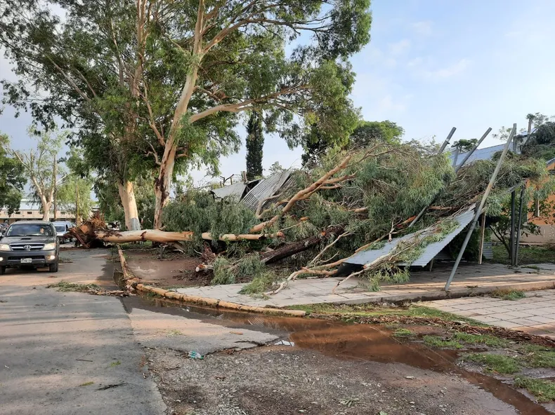 Por los daños en el CAPE, hoy continuarán sin actividad en algunas dependencias