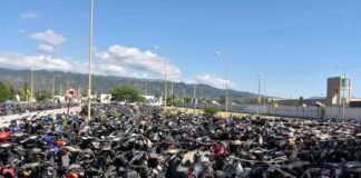 Denunció que le robaron en el Corralón Municipal