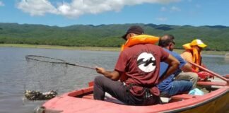 Defensa Civil realizó recolección y limpieza de peces muertos en el dique La Cañada