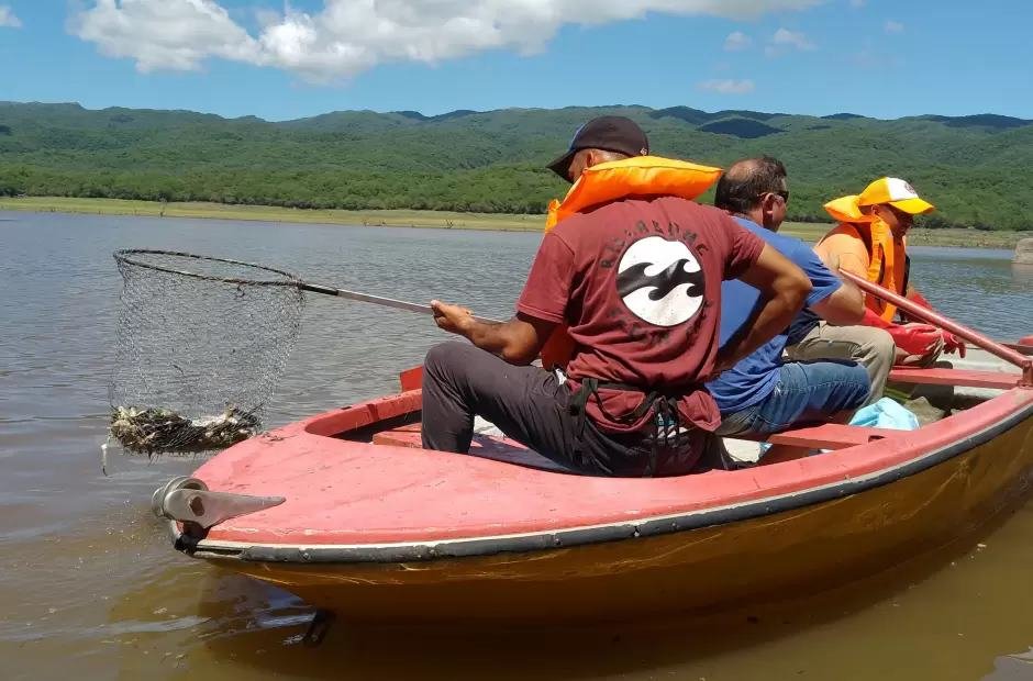 Dique la cañada, peces muertos