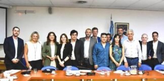 La situación minera, en el Congreso: “es una gran ventana de oportunidad para la Argentina” Marcelo Murua