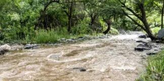 Rescataron a una mujer y dos niños varados por la crecida del río El Tala