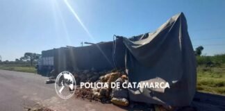 Recreo: volcó camión y perdió su carga