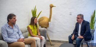 Descuentos y pago anual, los beneficios de la Moratoria 2023