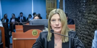 El Movimiento Renovador se suma a la pelea por la conducción de la UCR