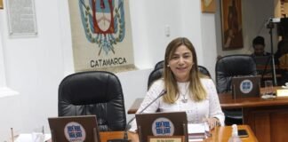 La concejala Gilda Godoy se va de la línea Raúl Alfonsín