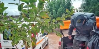 LA LLUVIA PROVOCÓ INUNDACIONES Y DESTROZOS EN TINOGASTA