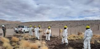MEDIO AMBIENTE TRABAJA EN LA RESTAURACIÓN ECOLÓGICA DE LA VEGA DEL RIO TRAPICHE JUNTO A LIVENT