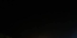 MULTITUDINARIO FESTIVAL DE LA NARANJA EN ALIJILÁN