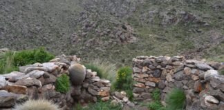 Tecnología 3D para la promoción y conservación del sitio El Pucará de Aconquija