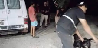 Transportaba droga en su vehículo y fue descubierto por un perro de la Policía
