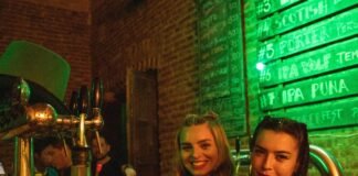 Finde con lleno total: la Fiesta de la Cerveza Artesanal copó el Girardi