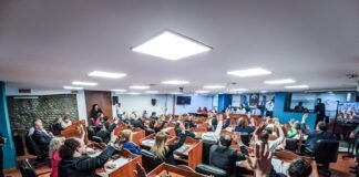 Diputados: aprobó la sesión especial para tratar la denuncia de violencia contra Gordillo