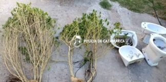 En Capayán secuestran sanitarios y plantas de Marihuana durante una medida Judicial