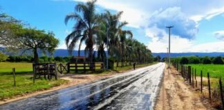 INICIAN LAS OBRAS DE ASFALTO EN LA JURISDICCIÓN DE LOS ALTOS