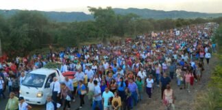 Peregrinación del Pueblo de Dios con gesto solidario