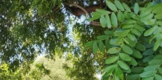 «Volvé a estudiar», para beneficiarios del Programa Nacional Potenciar Trabajo