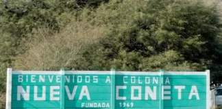 Volver a las fuentes