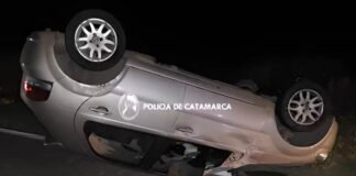 Un animal suelto causó un brutal vuelco en la Ruta Nacional N°157