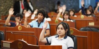 SENADO: Abrieron las inscripciones para «El Senado en la Escuela»