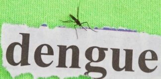 En la última semana se detectaron 127 casos positivos de Dengue en la Provincia